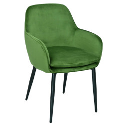 koray olive 3