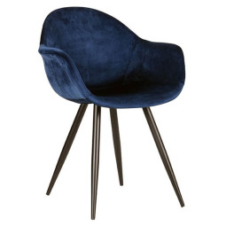 koray bleu 2