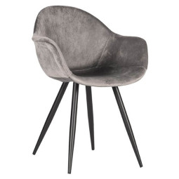 koray gris 3