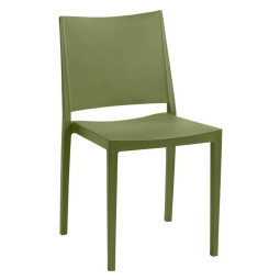 koray olive