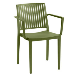 koray olive 11